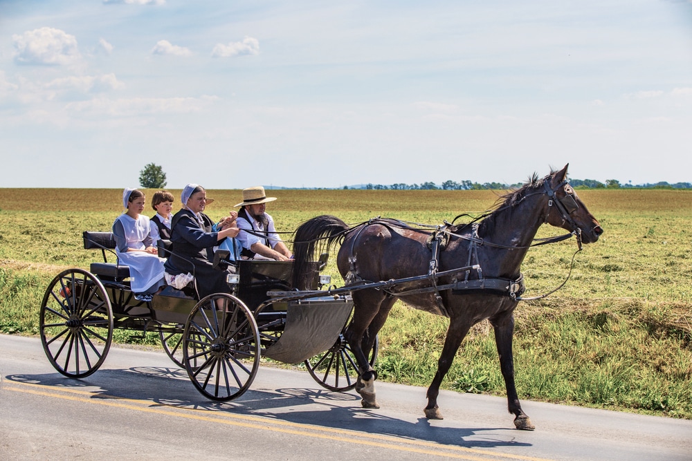 Amish Tax Payment